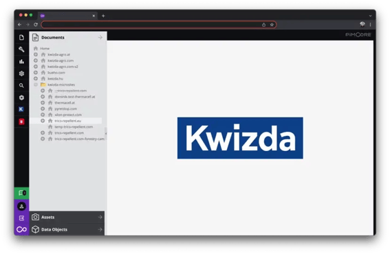 Streamlining Data Management and Website Development
